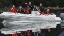 SURFBIRD tender